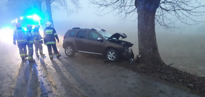 Artykuł: Wysoka Braniewska - Dacia uderzyła w drzewo