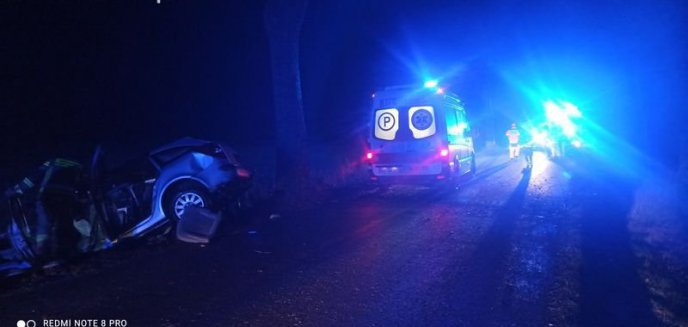 Artykuł: Stare Siedlisko - Renault uderzył w drzewo