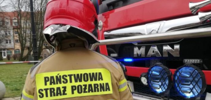 Artykuł: Nietypowa interwencja strażaków