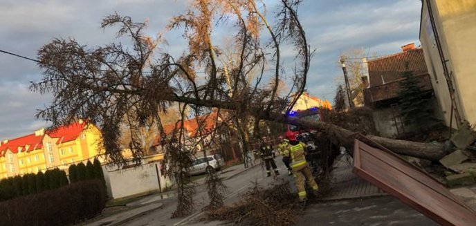 Artykuł: SILNY WIATR I DZIAŁANIA STRAŻAKÓW