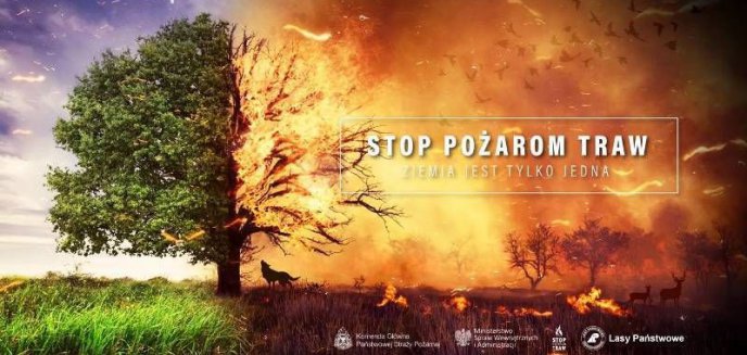 Artykuł: Stop pożarom traw – 2020.