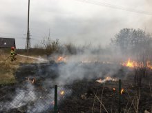 MIMO APELI WCIĄŻ ZMORĄ SĄ POŻARY TRAW I TRZCINY