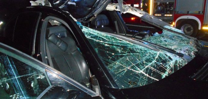 Artykuł: AUTO UDERZYŁO W PRZEBIEGAJĄCE ŁOSIE