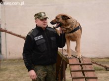 Pies Straży Granicznej wywęszył narkotyki