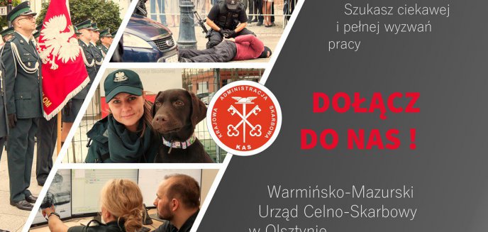 Artykuł: Szukasz ciekawej i pełnej wyzwań pracy – dołącz do nas!