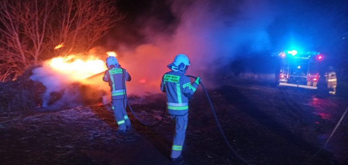 Poniedziałkowy pożar trzciny we Fromborku