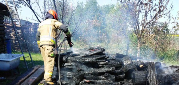 Artykuł: Pożar zgromadzonego drewna opałowego w Wielewie