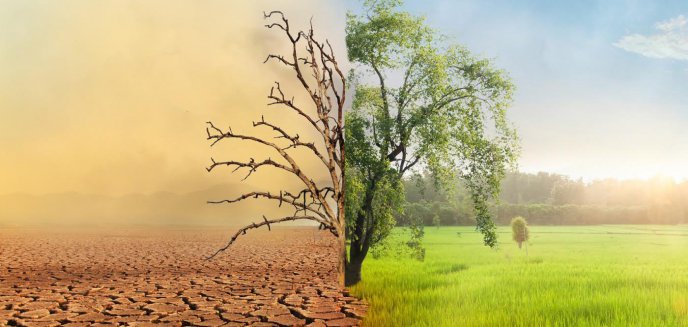 Artykuł: Zmiany klimatyczne a rolnictwo