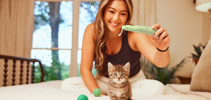 Artykuł: Co musisz wiedzieć przed przyjęciem małego kotka do domu?