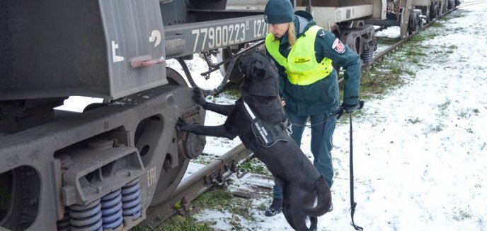 Artykuł: Warmińsko-mazurska KAS czeka na nowych kandydatów do Służby Celno-Skarbowej!