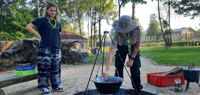 Naleśniki, hamaki, służba – kojarzysz to z harcerzami?