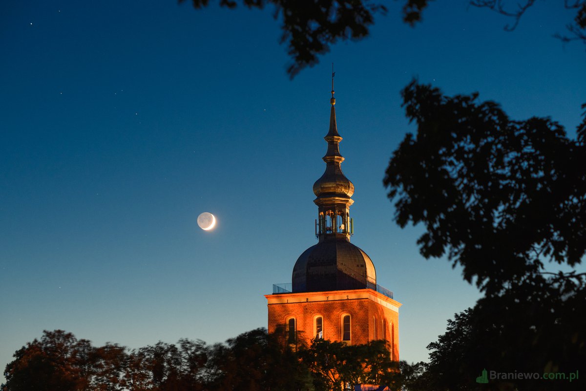 Frombork, Radziejowski - na czele