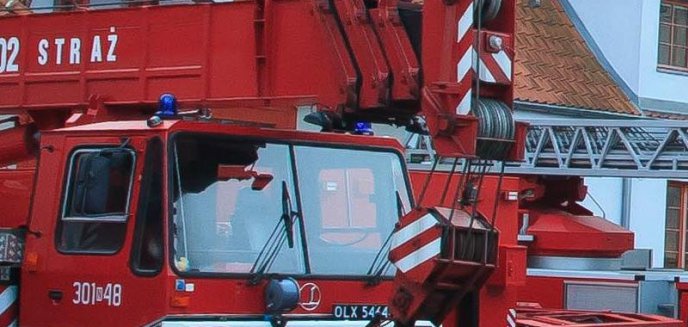 Artykuł: 1.3 miliona jedzie do Pieniężna