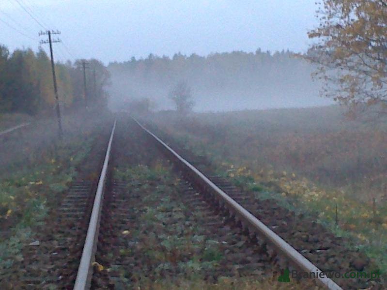 Z Braniewa do Elblaga pociągiem - osobowym?