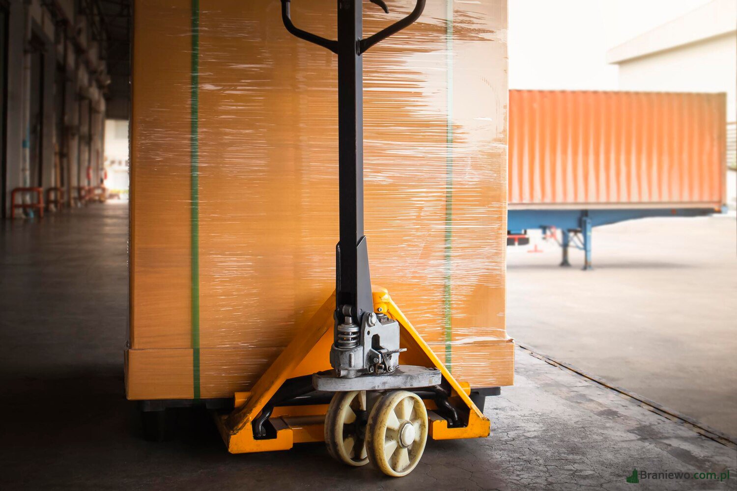 Paleciak ręczny, a wózek paletowy - jakie są różnice?