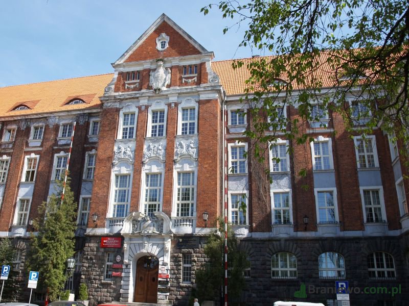 Seniorzy z Wilcząt, Lelkowa, Płoskini pod lupą