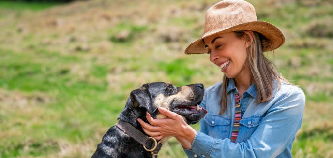 Artykuł: Weekend Adopcji Mars i TOZ – adopcja zwierzaka może zmienić dwa życia