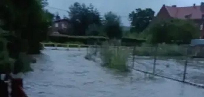 ZABRAKŁO WRAŻLIWOŚCI A MOŻE CZEGOŚ WIĘCEJ