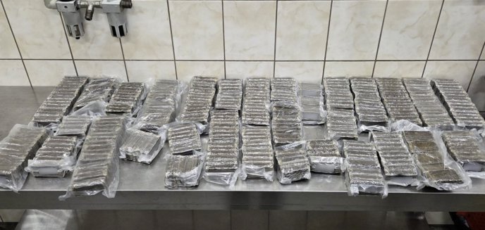 Artykuł: KAS zatrzymała ponad 40 kg narkotyków na przejściu granicznym w Grzechotkach