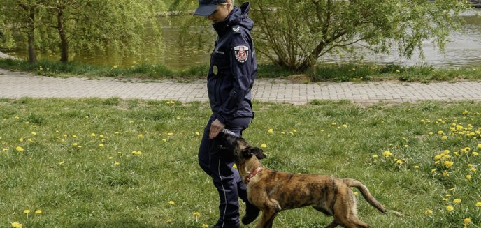 Maja na słuzbie