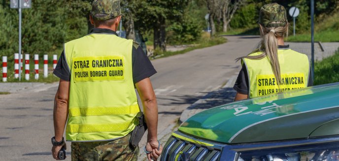 Artykuł: Jechał wężykiem
