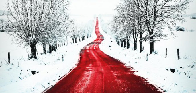 Artykuł: Recenzja: "Możesz uciekać"  Rebecca Zanetti