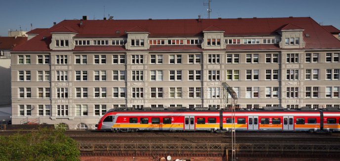 Pies i kot w podróży. Jak bezpiecznie i komfortowo przewozić swojego pupila pociągiem