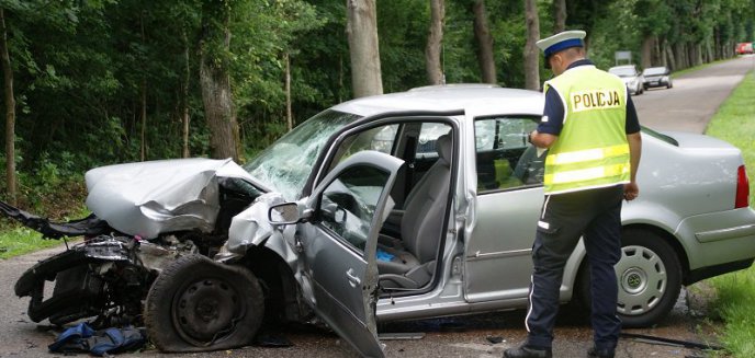 Artykuł: Policjanci pracowali na miejscu śmiertelnego wypadku drogowego