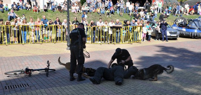 Artykuł: Policjanci uczestniczyli w II Festynie Służb Mundurowych