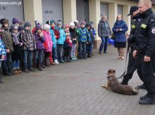 Czy psy muszą gryźć ?