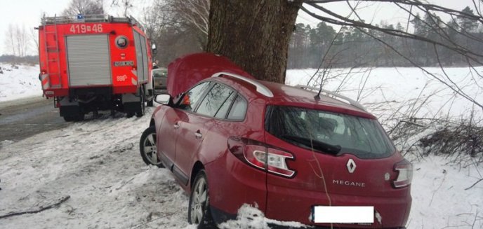 Artykuł: Renault uderzył w drzewo – powiat braniewski.