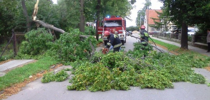 Artykuł: Było wietrznie i burzowo – powiat braniewski