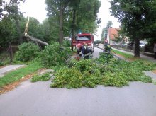 Było wietrznie i burzowo – powiat braniewski