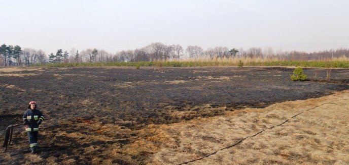 Artykuł: Wiosenne pożary traw – powiat braniewski