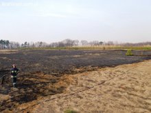 Wiosenne pożary traw – powiat braniewski