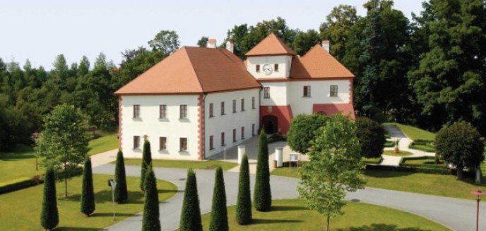 Artykuł: Temelín - co skrywa zamek Vysoký Hrádek?