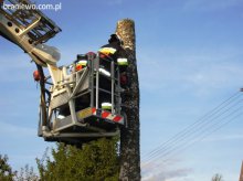 Usuwali skutki silnego wiatru – powiat braniewski