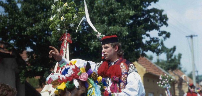Artykuł: Jazda Królów - barwna impreza folklorystyczna w Czechach