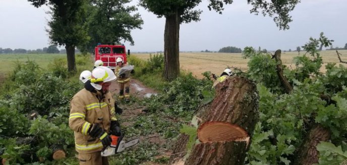 Artykuł: Pierwszy atak pogodowy w powiecie braniewskim