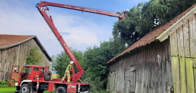 Artykuł: Kolejny atak silnego wiatru - wtorkowe zmagania strażaków