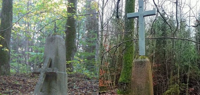 Leśny krzyż z Biedkowa. Historia miejscowości