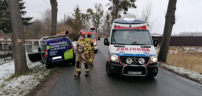 Artykuł: Braniewo - Fiat uderzył w drzewo