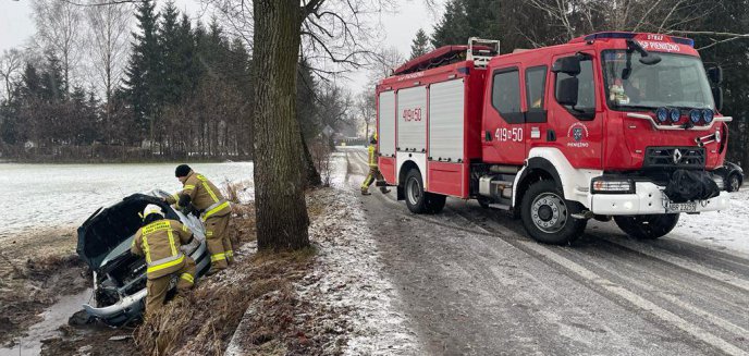 Artykuł: Niebezpiecznie na drogach.